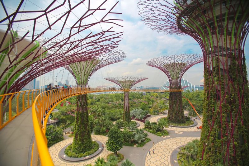 Explore the breathtaking Gardens by the Bay with towering Supertrees and lush greenery in Singapore.
