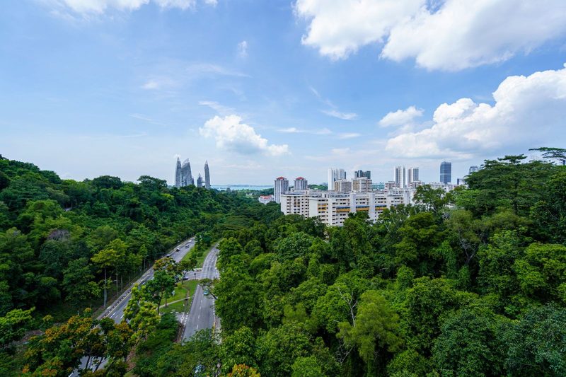 Aerial view of a vibrant cityscape blending greenery and modern architecture.