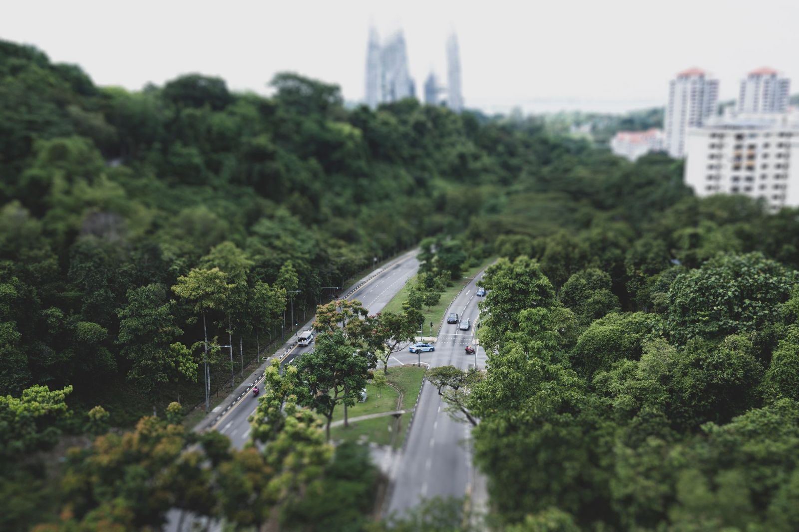 A beautiful aerial view of Singapore's green urban landscape featuring highways amidst lush trees.