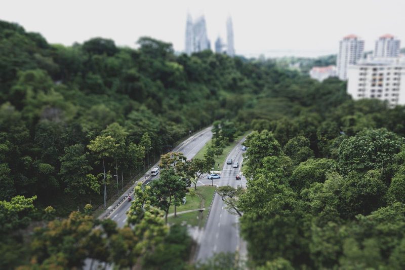 Southern Ridges & Henderson Waves