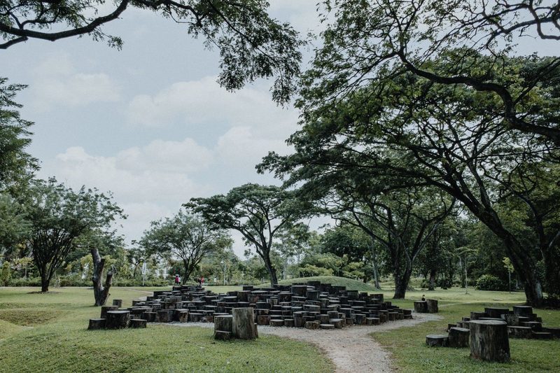 Beautiful park in Singapore featuring lush greenery and natural wooden seating under trees.