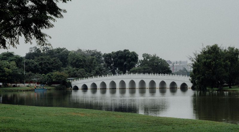 Peaceful view of a white bridge over a lake in Singapore's lush park setting.
