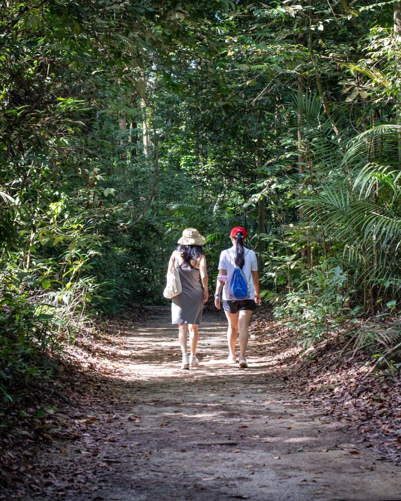 Two women enjoy a peaceful walk on a forest trail in Singapore, surrounded by lush greenery.