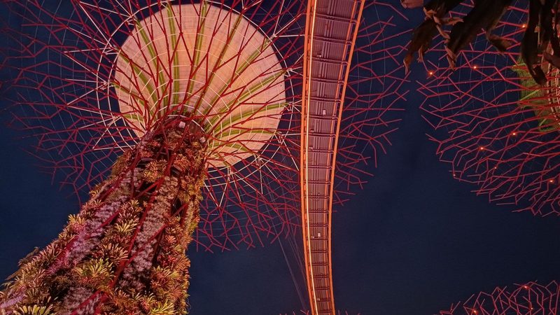 Majestic Supertree Grove lit up at night in Singapore's Gardens by the Bay.