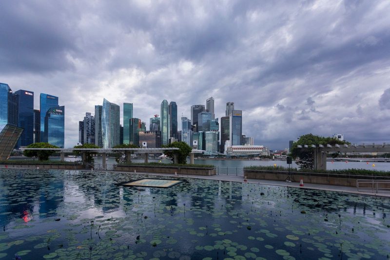 A dramatic view of Singapore's skyline reflecting in a lily pond under cloudy skies.