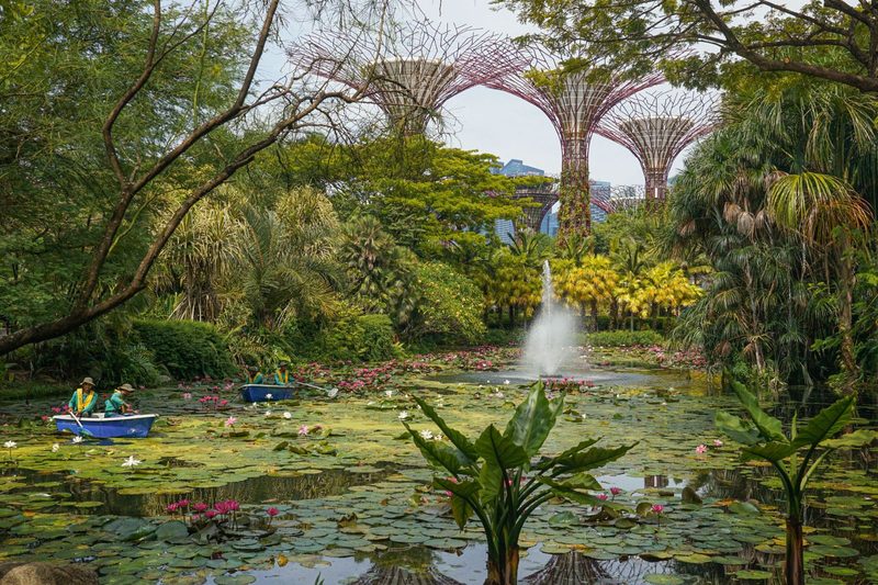 Gardens by the Bay