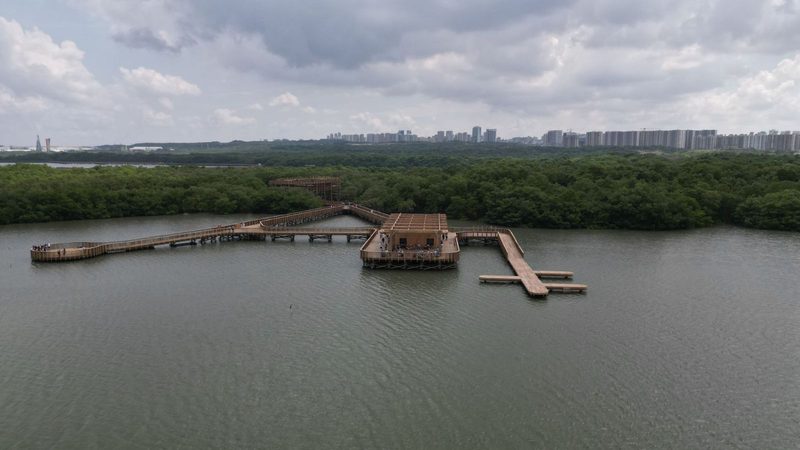 Aerial shot of a scenic wooden walkway over a mangrove swamp in Barranquilla, Colombia.