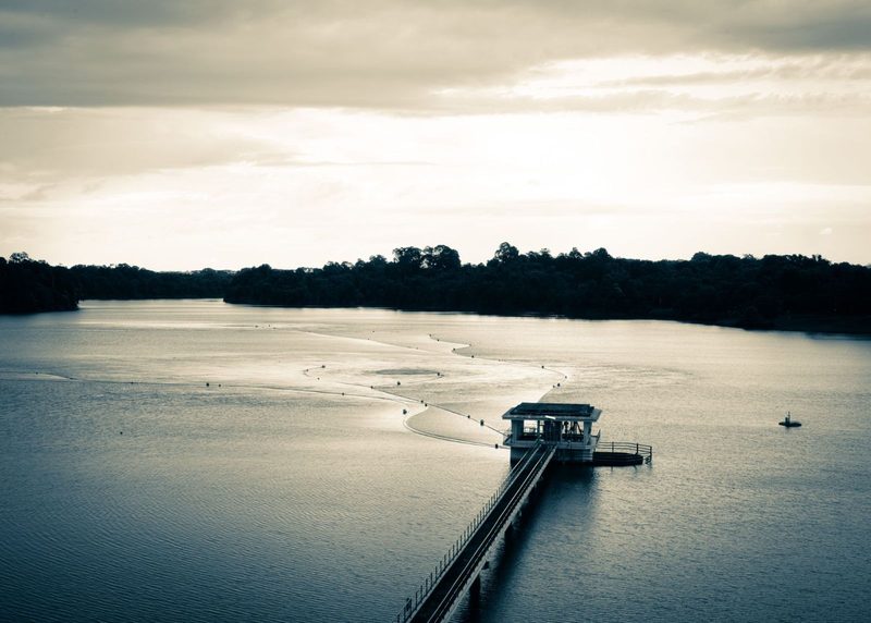 MacRitchie TreeTop Walk