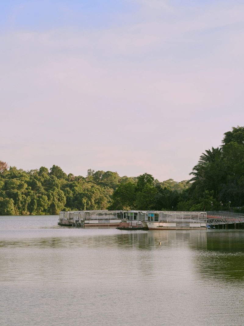A calming scene at MacRitchie Reservoir in Singapore, showcasing a floating platform surrounded by lush greenery and tranquil waters.