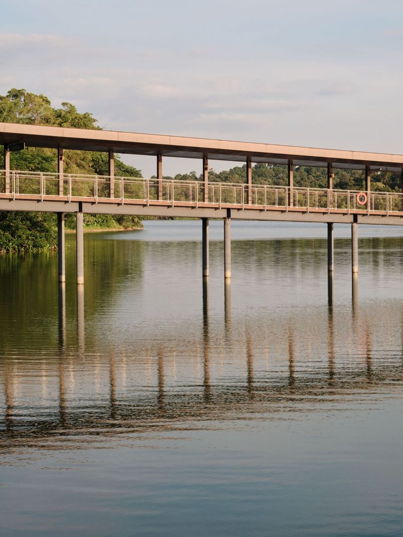 Peaceful pedestrian bridge over calm water surrounded by lush greenery. Captured in daylight.