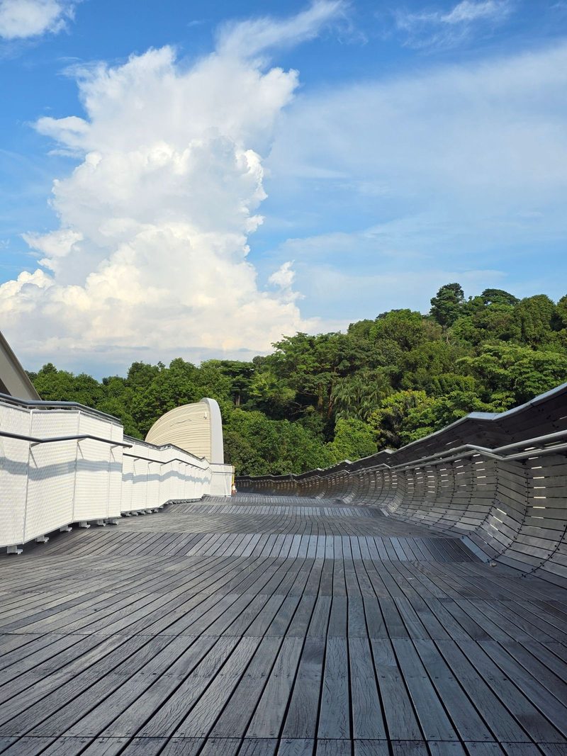 Wooden pathway on Henderson Waves Bridge against lush greenery and blue sky with clouds.