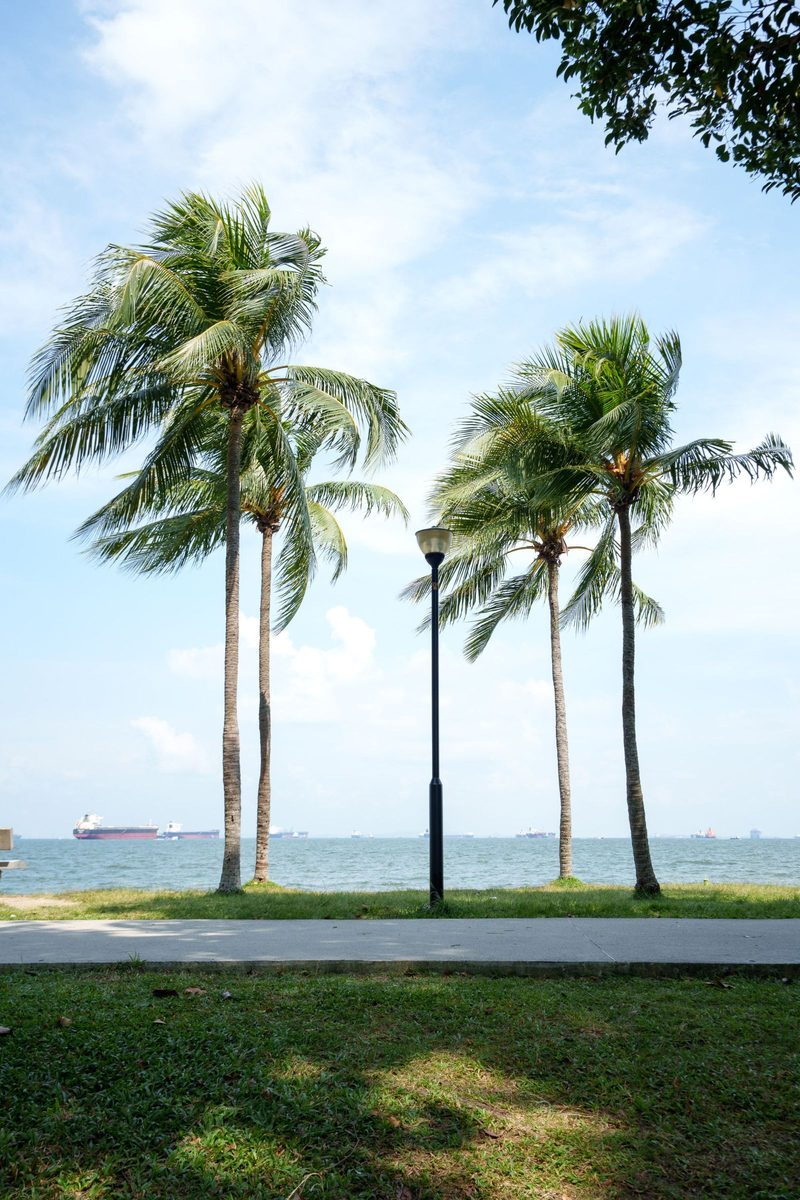 East Coast Park