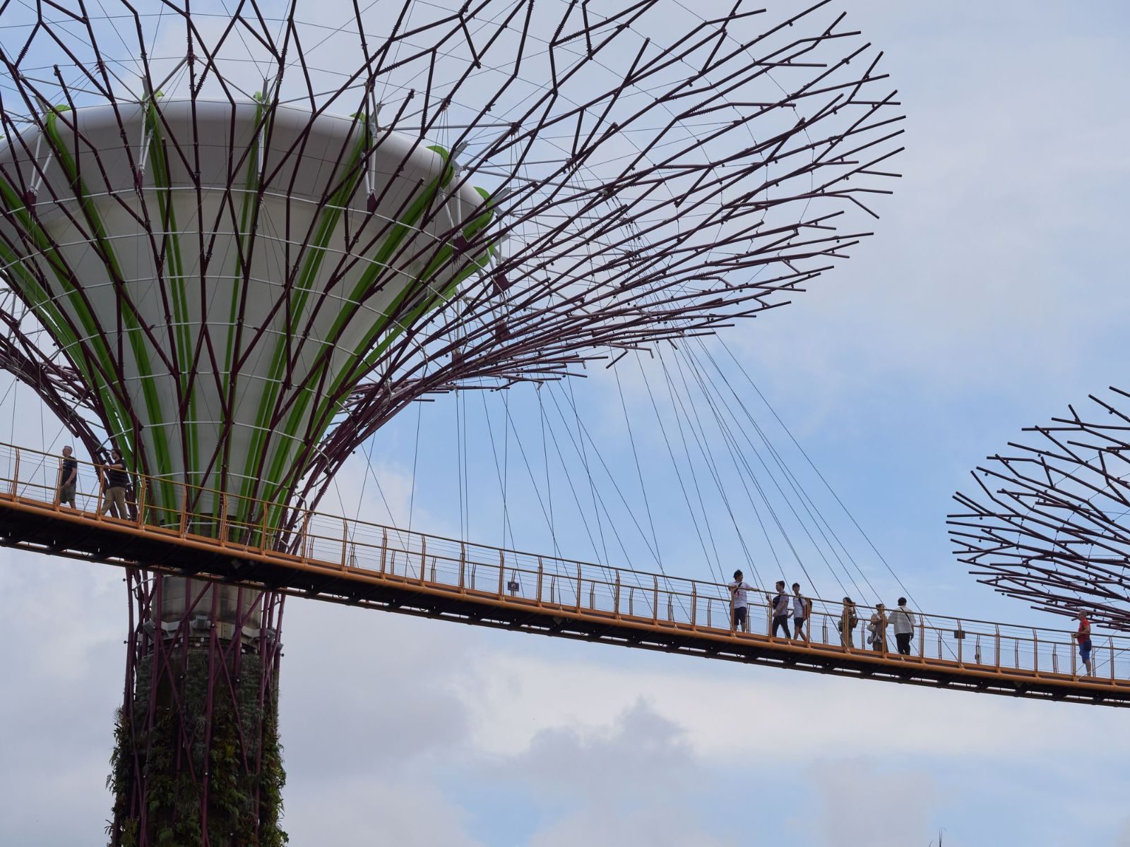 Visitors enjoying a walk on the OCBC Skyway at Singapore's iconic Gardens by the Bay.