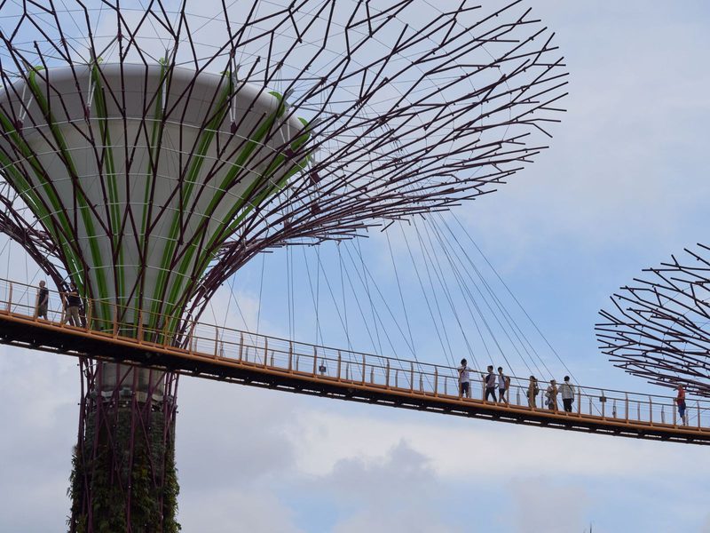 OCBC Skyway
