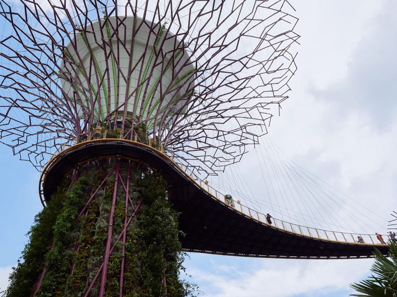 Stunning view of Supertree Grove's iconic architecture in Singapore.