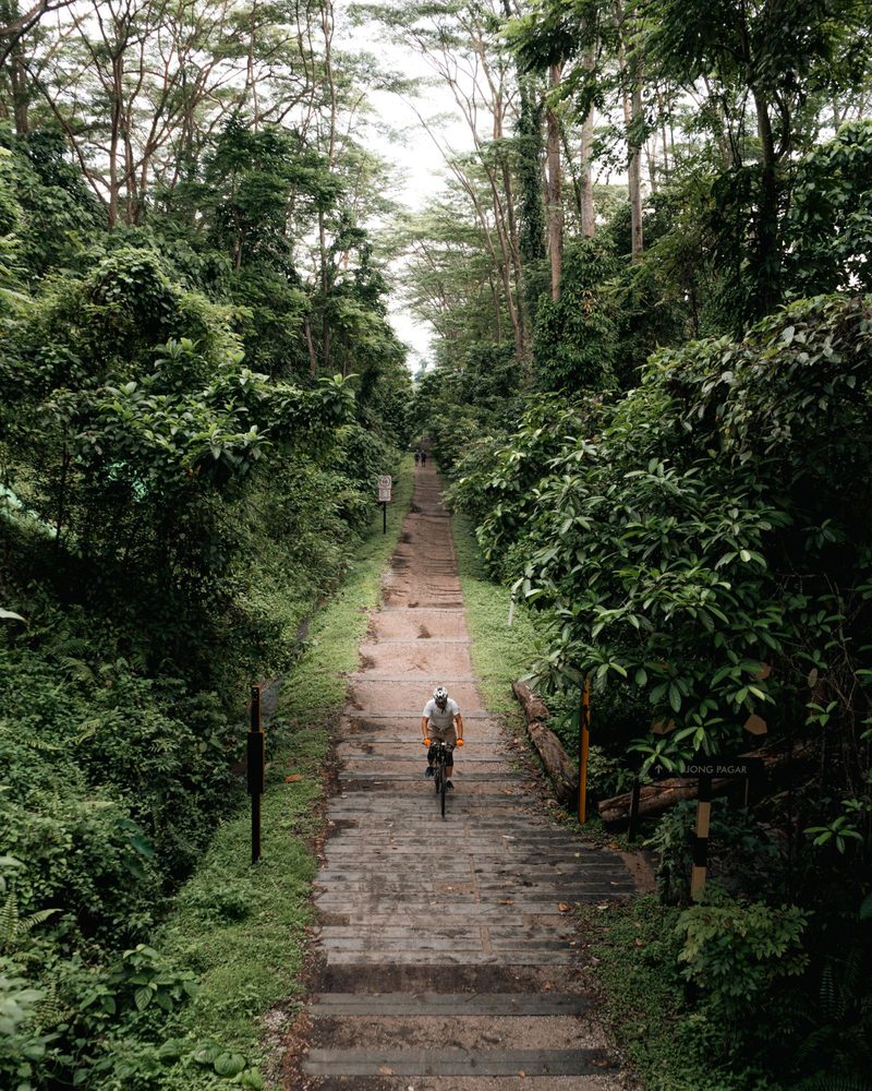 Bukit Timah Nature Reserve