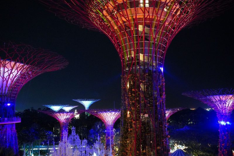 A captivating view of Singapore's Supertree Grove illuminated against the night sky.