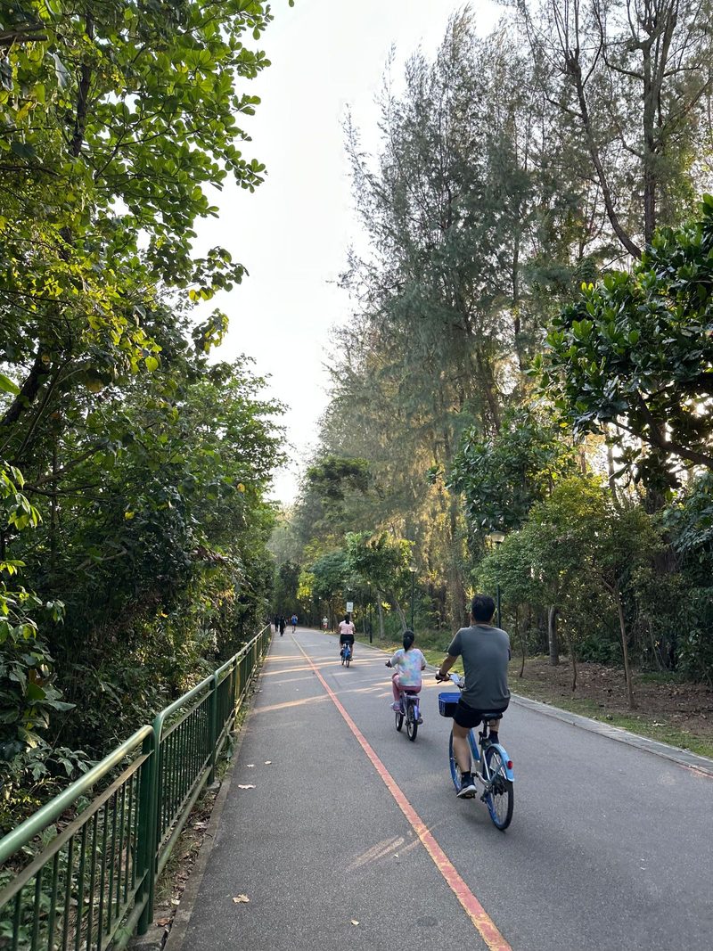 People cycling on a tree-lined path in a lush, serene park setting during the day.