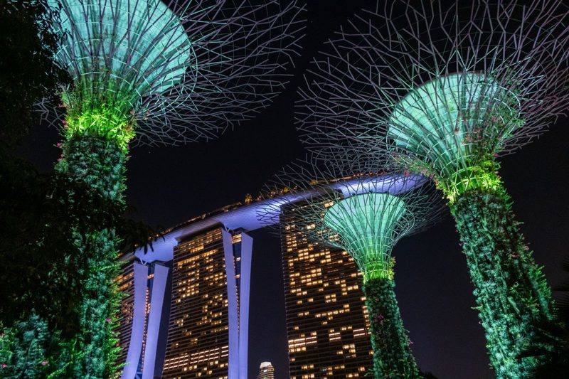 Night view of Supertree Grove lights illuminating Marina Bay Sands in Singapore.
