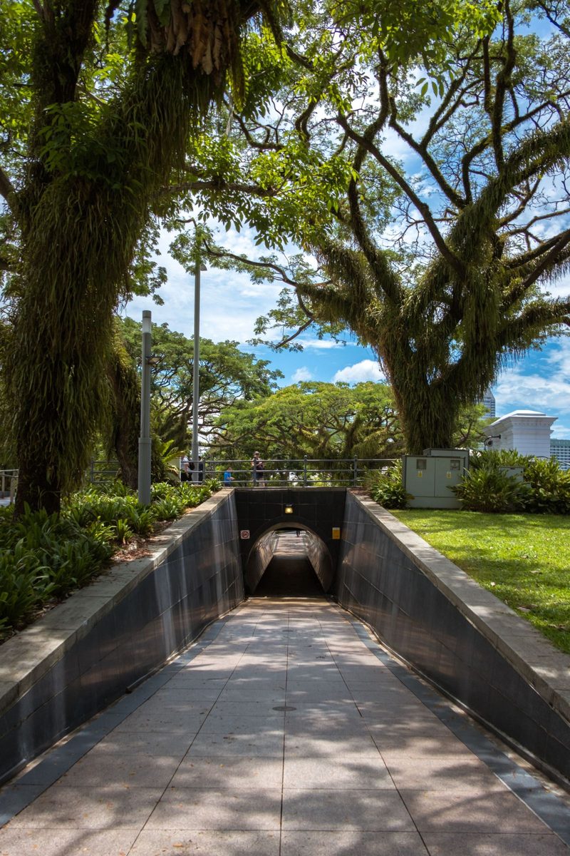 Entrance to Fort Canning Tunnel surrounded by lush greenery in downtown Singapore.