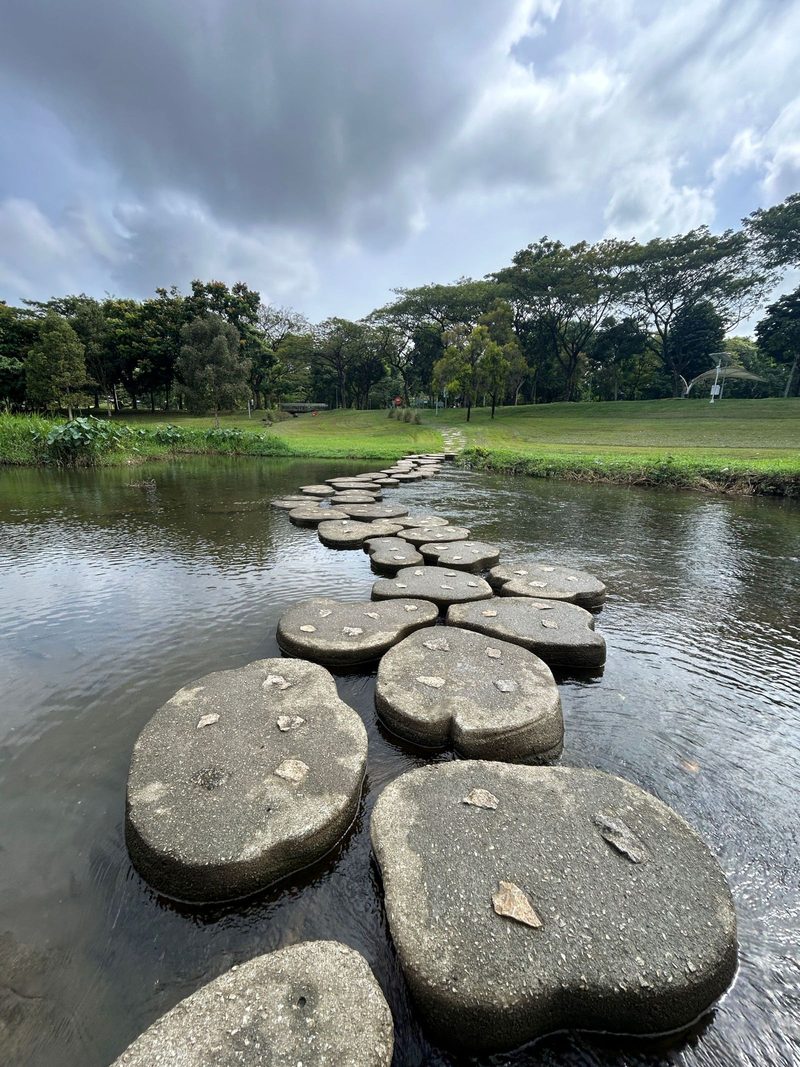 Tranquil stepping stones lead over a calm stream in a lush Singapore park.