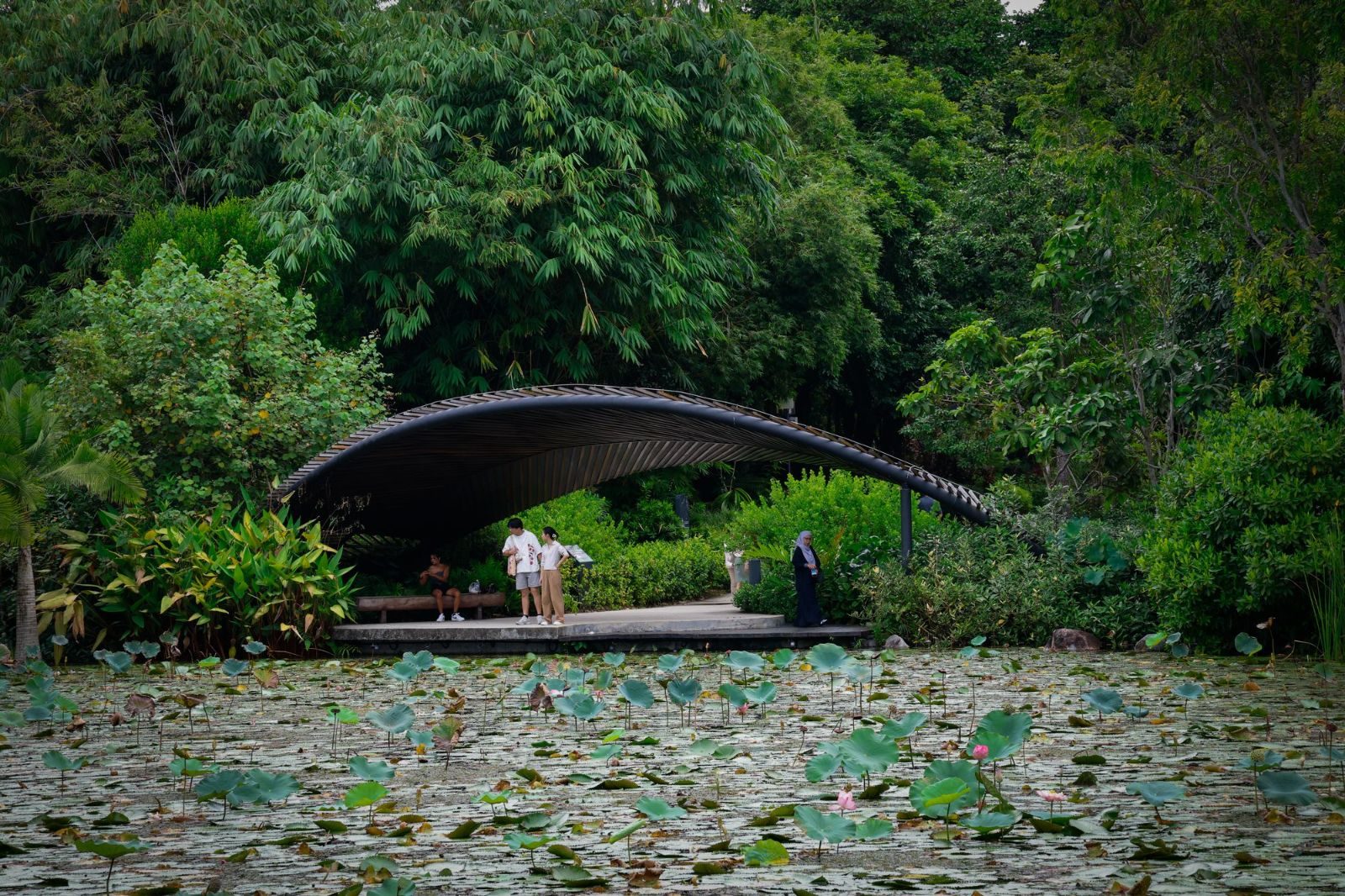 Relaxing scene with people by the pond at Singapore Botanic Garden, surrounded by greenery.