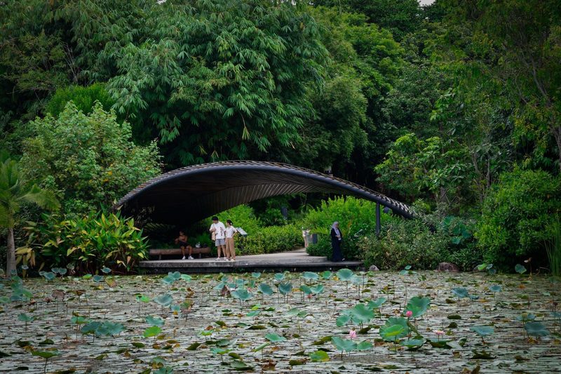 Singapore Botanic Gardens