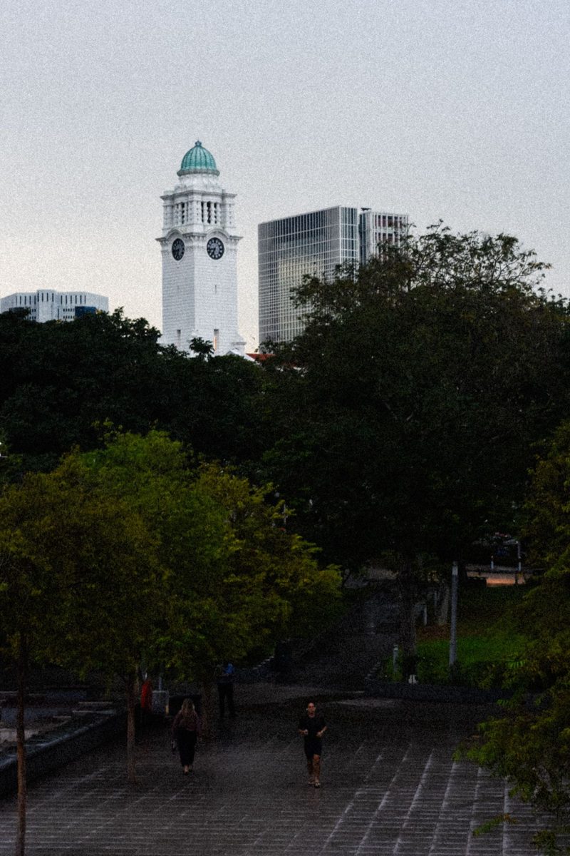 Scenic view of Victoria Theatre Clock Tower amidst trees in a Singapore park during daylight.