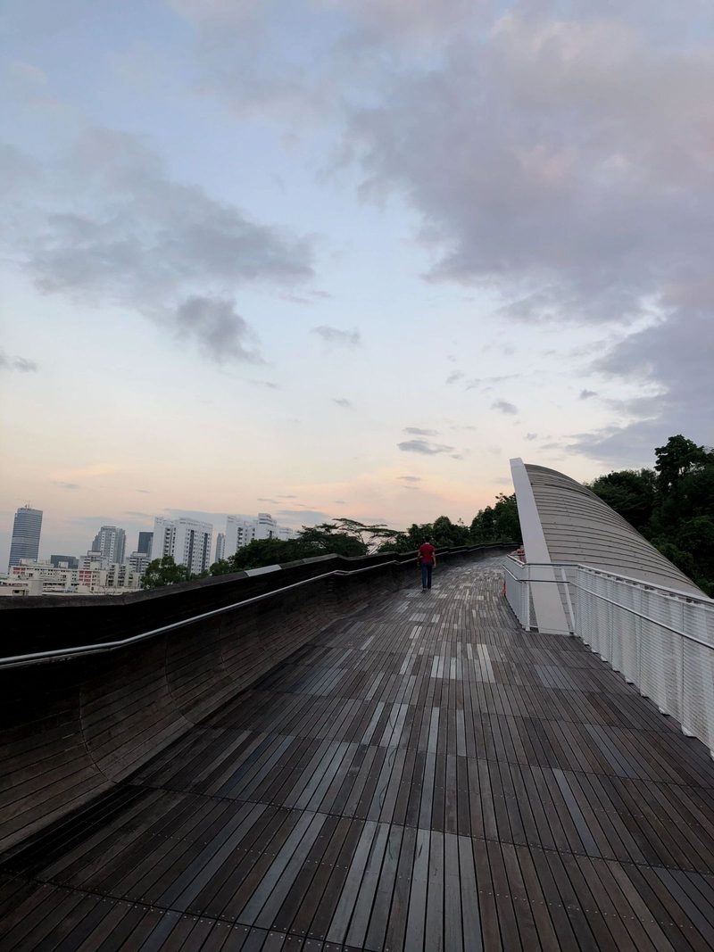 Explore the iconic Henderson Waves Bridge in Singapore, capturing stunning urban views and modern architecture.